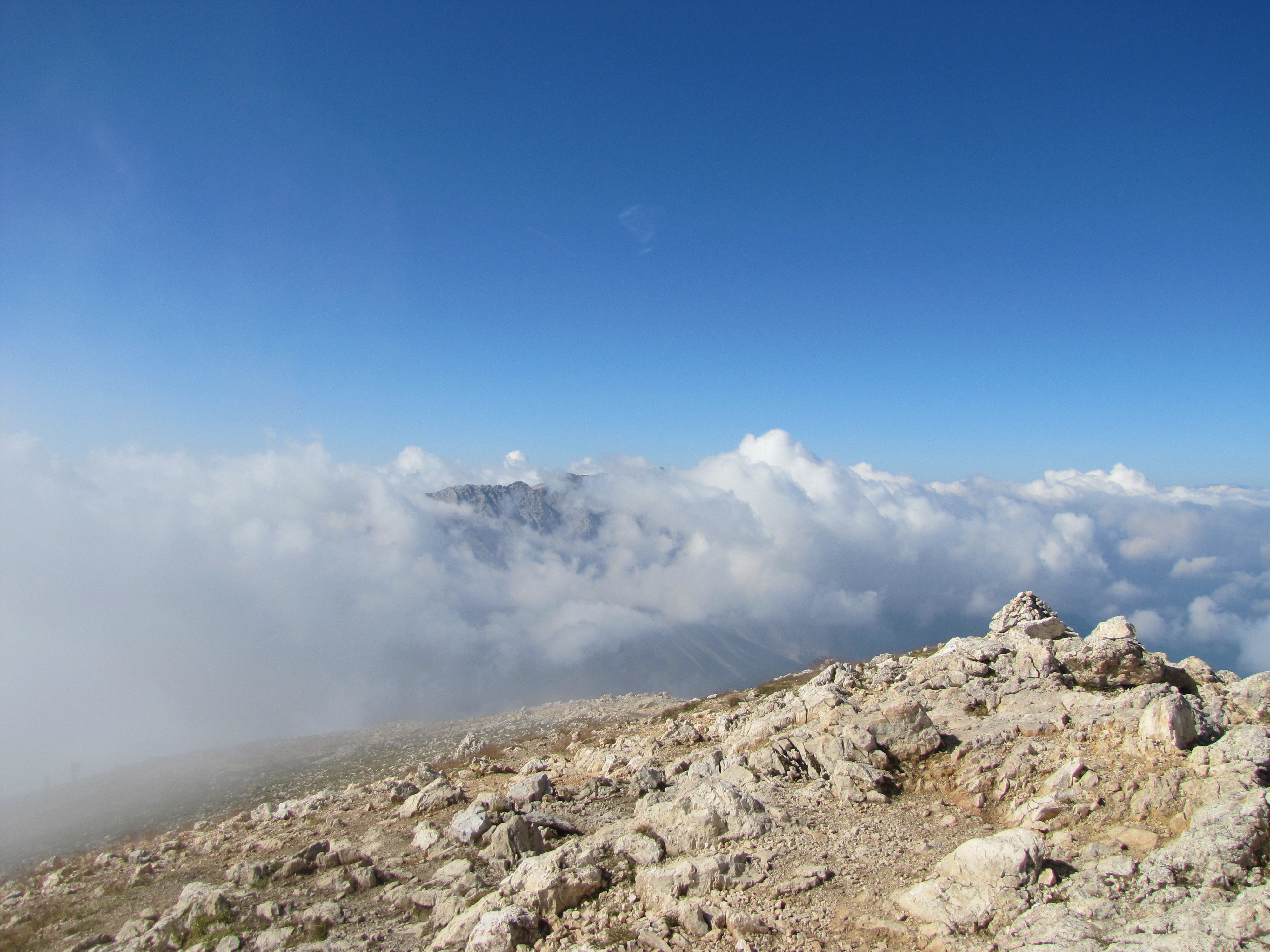 Foggy view from the summit